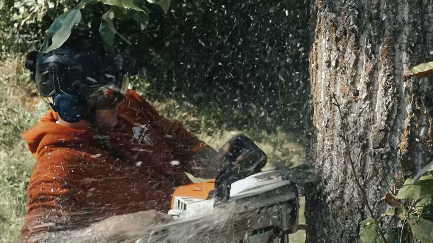 Northwest Tree Care